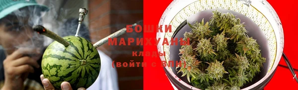 бошки Новодвинск
