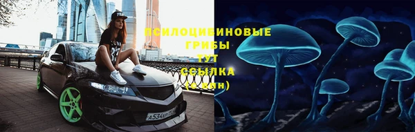 бошки Новодвинск