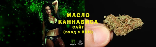 бошки Новодвинск