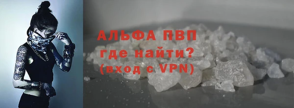 бошки Новодвинск
