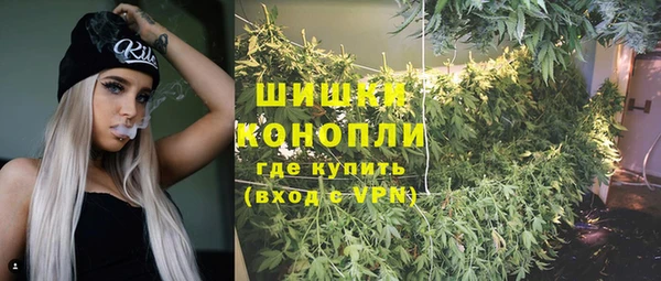 бошки Новодвинск