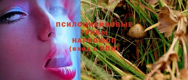 гашиш Новозыбков