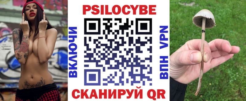 Псилоцибиновые грибы Magic Shrooms  Купить где  Пустошка 
